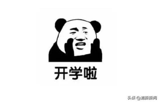 清新县职业技术学校在哪(清新职业技术学校)
