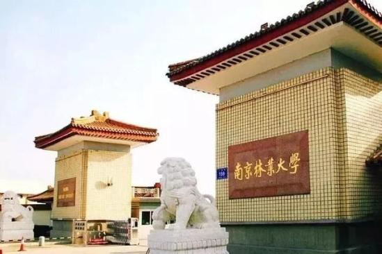 南京林业大学教务网(教务处南京林业大学)