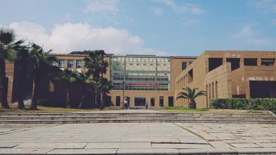 南开大学滨海学院地点(天津南开大学滨海学院在哪里)