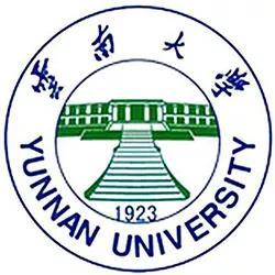 云大福(云大属于什么档次)