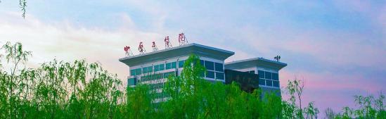中原工学院地址(中原工学院在哪里办学)