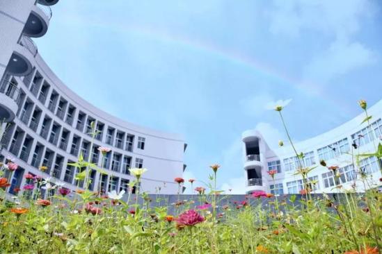 西华师范大学招生网官网(西华师范大学招生服务系统)