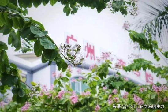 广州工商学院的学费一年是多少钱(广州工商学院费用)